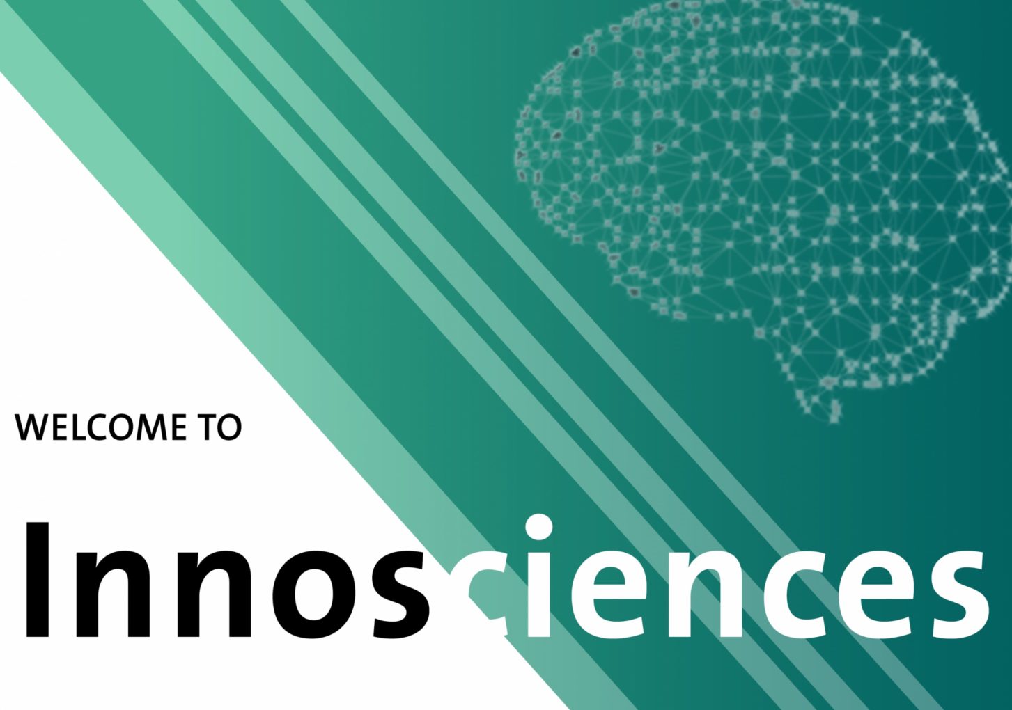 Dr. Iris Crassee receives InnoSciences Award - Kuzmenko Group